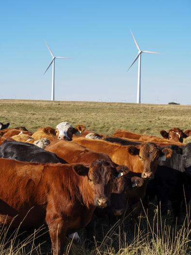 Rural Minnesotans will be talking about local climate change solutions this week. (iStockphoto)