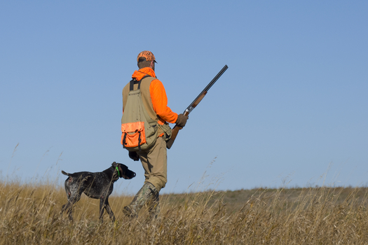 A South Dakota wildlife official is urging state lawmakers to shoot down a bill to allow bird hunting with a shotgun pistol. (iStockphoto)