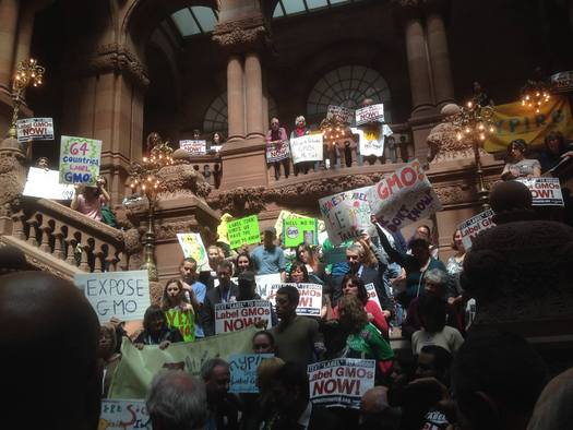Supporters of GMO labeling urge passage of a law in New York. (GMOFreeNY.net)