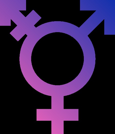 Tennessee lawmakers are considering a bill that would mandate that school systems require students to utilize facilities associated with the gender on their birth certificate. (Paradox/Wikimedia Commons)