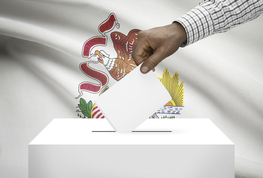 A new website aims to help Illinois voters find candidate information faster and easier. (iStockphoto)