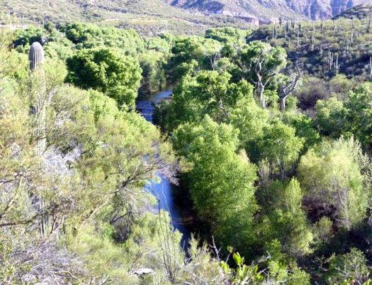 A group of environmental organizations is planning to sue the U.S. Corps of Engineers over a permit for a major development near the San Pedro River watershed in southeastern Arizona. (Charlie Schultz/Sierra Club)