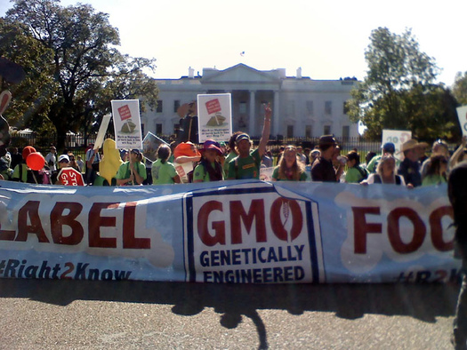 An estimated 90 percent of Americans want labeling of GMO foods. (Alexis Baden-Mayer/flickr.com)