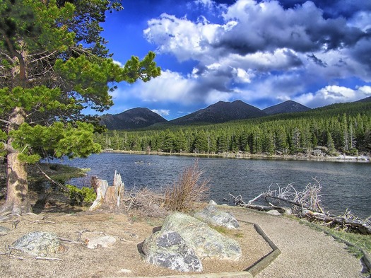 Conservationists are concerned upper-basin state efforts to divert water could hurt ecosystems dependent on the Colorado River. (Pixabay)