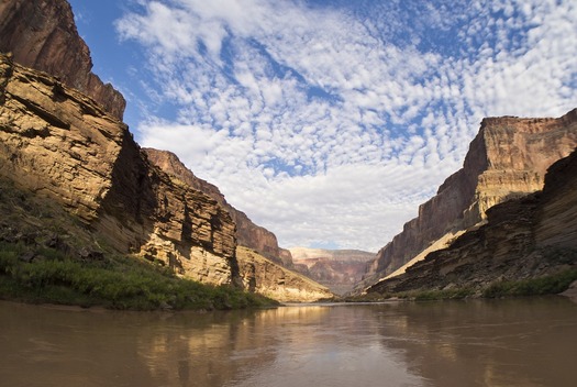 Conservationists are concerned upper-basin state efforts to divert water could hurt ecosystems dependent on the Colorado River. (Pixabay)
