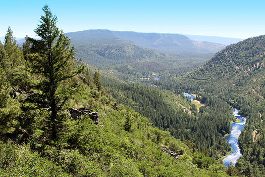 Free assessments are available to private landowners in four Oregon counties. (Bureau of Land Management/Wikimedia Commons)