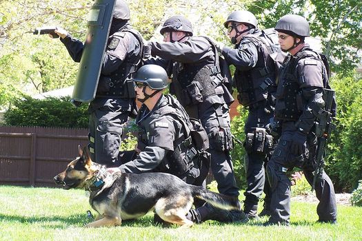 Nationally, police SWAT teams now conduct 60,000 raids a year. (Fiatswat800/Wikimedia Commons)