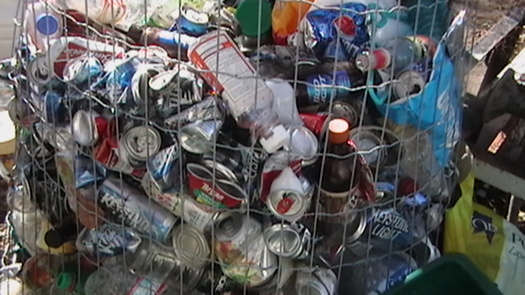 Putting the wrong items in your recycle bin can harm the environment. (Virginia Carter)