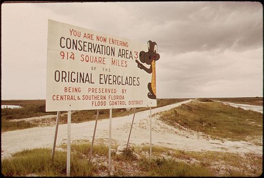 Dedicated funding for Everglades restoration projects has been 16 years in the making. (Fred Ward/Wikimedia Commons)