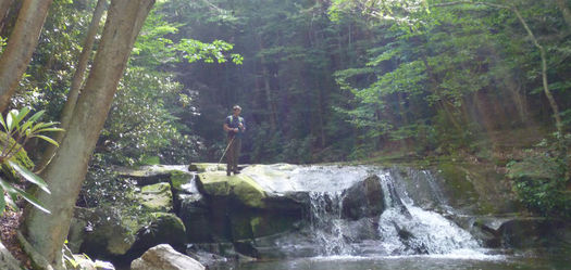 Backers have high hopes for the economic impact of a proposed Birthplace of Rivers National Monument for eastern West Virginia. (BirthplaceofRivers.org)