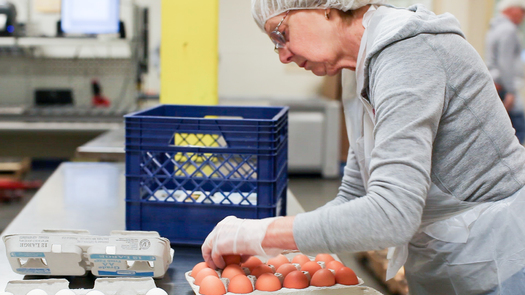 Since 2001, Fresh Alliance has redirected 80 million pounds of food from being wasted in Oregon. (Oregon Food Bank)