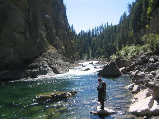 Hunting and fishing groups are cheering the defeat in the U.S. Senate of an amendment that would have lifted certain EPA protections from smaller streams. (Montana Wildlife Federation)