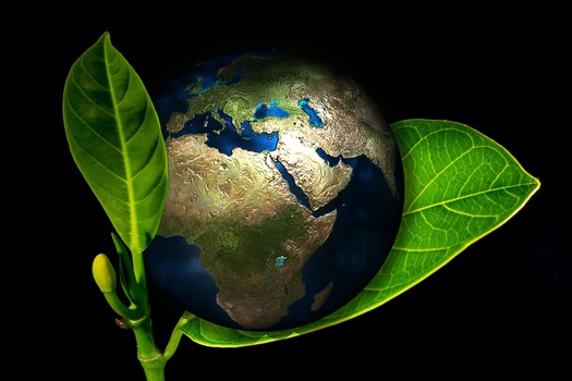 On Earth Day, world leaders are expected to sign the historic Paris Agreement, marking an important global step toward slowing climate change. (Pixabay)