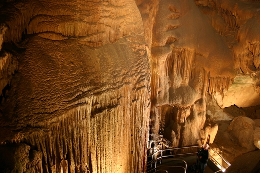 All national parks, including Mammoth Cave, are free this weekend for Earth Day and National Park Week. The U.S interior secretary is calling for increased funds to maintain the parks. (NPS)