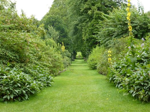 New research says women living closer to high levels of green vegetation have lower mortality rates than do women living in 