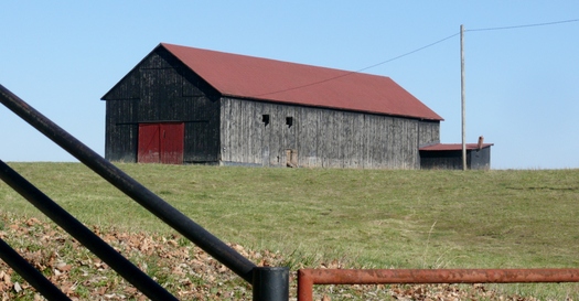 An audit commissioned by Reynolds American identifies instances of minors working in unsafe conditions on contracted tobacco farms across the south, including in Kentucky. (Greg Stotelmyer)