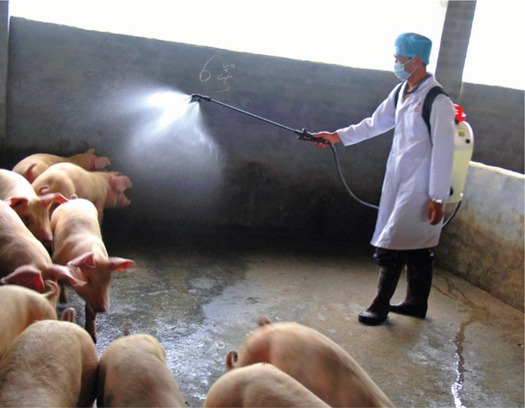 Animal welfare advocates say regulation of factory farms is needed to protect public health, the environment and the animals themselves. (National Institute of Health)