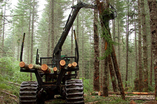 The Bureau of Land Management has proposed changes to its forest management plan that would increase logging in western Oregon. (Bureau of Land Management)