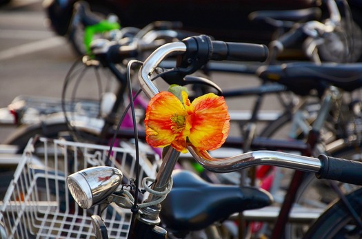 There are 13 Bike Friendly communities in Ohio. (Pixabay)