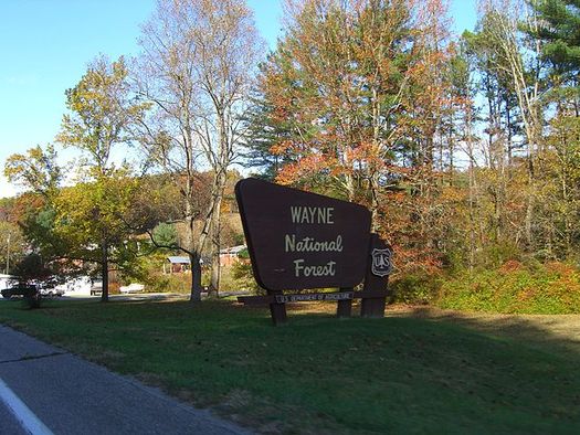 Wayne National Forest is among the nearly 6 million acres of national public lands in Ohio. (Nick Juhasz/Wikipedia)