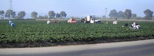 An EPA investigation into the use of pesticides near a California high school took 12 years to resolve. (Mr_Write/morguefile)