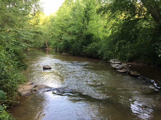 Farmland in western North Carolina is benefiting from state and federal funds for stream water management in a project organized by the Resource Institute. (Harris)