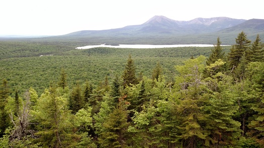 Some Mainers are in Washington, D.C., today to urge designation of a North Woods National Monument. (P. Corrigan, Jr).