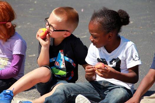 New numbers show Illinois lags behind most of the country in providing free or reduced cost summer meals for children from lower-income families. (Illinois State Board of Education)