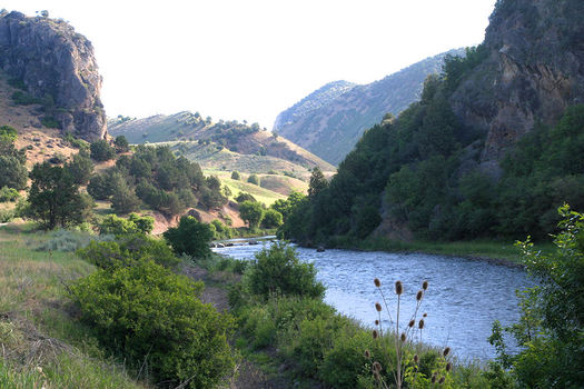 The federal government has denied permission to build a hydroelectric dam project on the Bear River. (Kevin Lewis, Idaho Rivers United)
