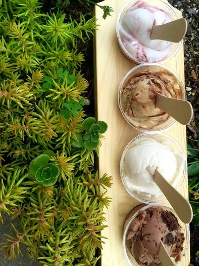 The Hop ice cream shop in Asheville makes hundreds of flavors, many of them with vegan ingredients so more people can experience their products. (The Hop)