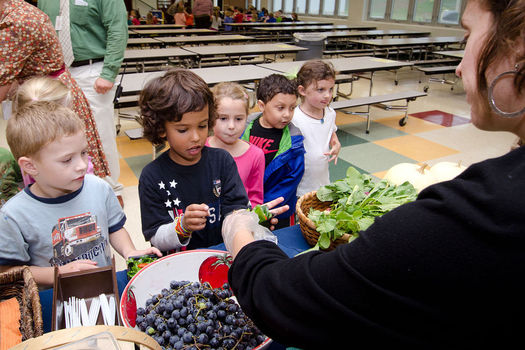 Legislation currently under debate in Congress could force schools to reapply in order to participate in free meal programs. (USDA)