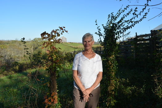 Jane Herrod is one of the Kentucky farmers growing a test plot of industrial hemp this summer. (Catherine Moore)