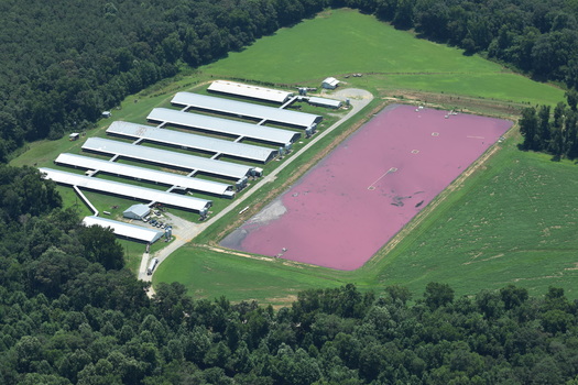 Storage ponds such as this one in the Lower Neuse basin contain agricultural waste, and environmental groups are concerned about the amount of waste seeping into area waterways and groundwater. (Graves)