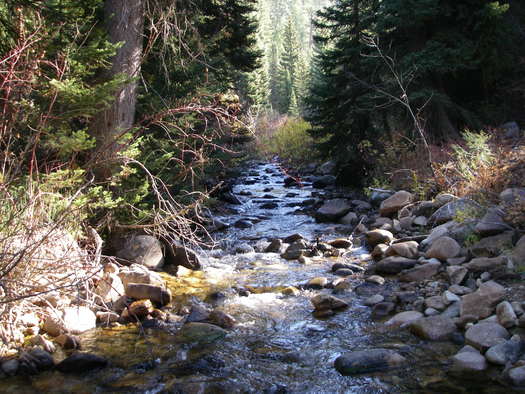 Grimes Creek, site of the proposed CuMo mine north of Boise. (John Robison, Idaho Conservation League)