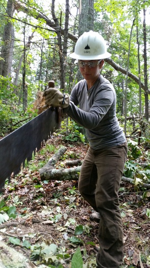 Southern Appalachian Wilderness Stewards are working to clear parts of the Appalachian Trail in northeast Tennessee. (Bill Hodge)