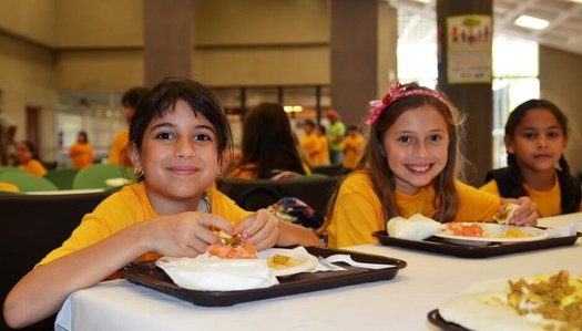 A popular program is under threat in Congress that could mean less access to school lunch and breakfast at more than 200 schools in the Commonwealth. (UDSA)