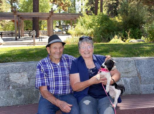 Animal shelters across the nation are participating in an adoption drive this weekend called Clear the Shelters. (Herb Carter)