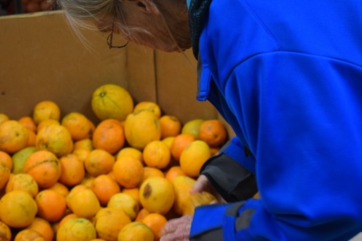 Indiana farmers are being asked to sell surplus or blemished produce to food banks. (Virginia Carter)