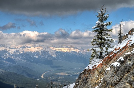 Plants and animals living in the Rocky Mountain West could face bigger challenges than previously expected as global temperatures rise, says a new University of Montana report. (Pixabay)