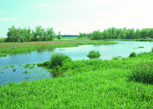 Newly approved clean water rules might actually increase pollution in Iowa waterways, says the Iowa Environmental Council. (USDA.org)