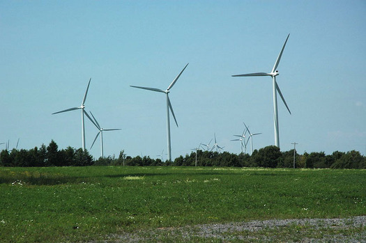 Utility-scale wind and solar infrastructure can affect plant and wildlife habitat. (Sgt. bender/Wikimedia Commons)
