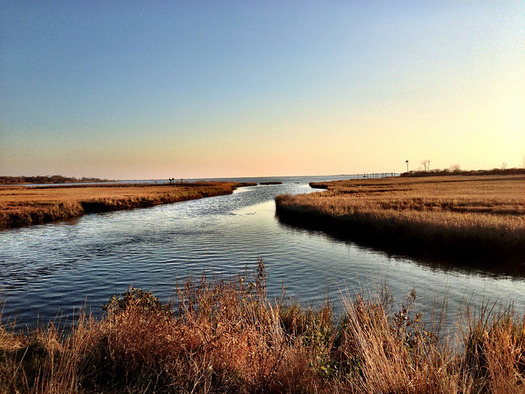 A new report highlights the vulnerabilities of Connecticut coastal ecosystems if rising sea levels are not addressed. (David, Bergin, Emmett and Elliot/Flickr) 