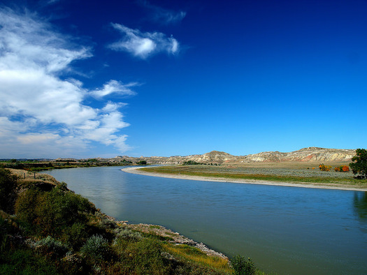 Montana officials have shut down a 183-mile stretch of the Yellowstone River due to a parasite infecting whitefish. (Kurt Haubrich/Flickr)