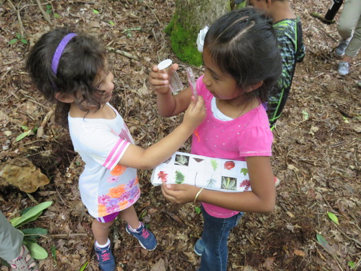 Children in Macon County are learning through outdoor education in the Kids in Nature program by the Highland-Cashiers Land Trust. (HCLT)