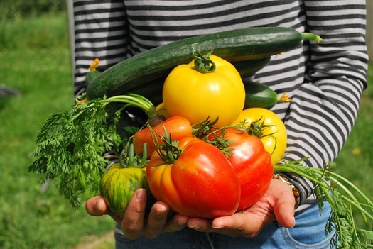 A new study documents the educational, health, nutritional and other benefits of urban agriculture. (Pixabay)