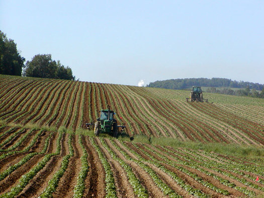 Maine farmers were busy this weekend, with a tractor parade in Augusta to help fight hunger. Maine has the most farms in New England, but is also tops in food insecurity. (NightThree/Wikimedia Commons)