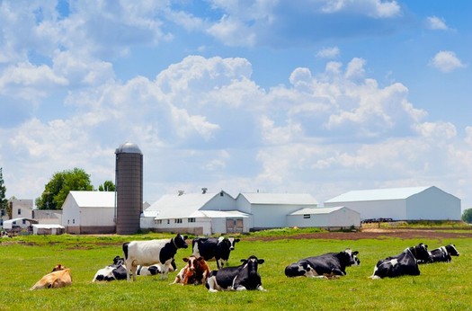 The Global Dairy Symposium on Oct. 6 in Wisconsin will feature sessions with leading international dairy authorities. (Matsymowicz/iStockPhoto.com)
