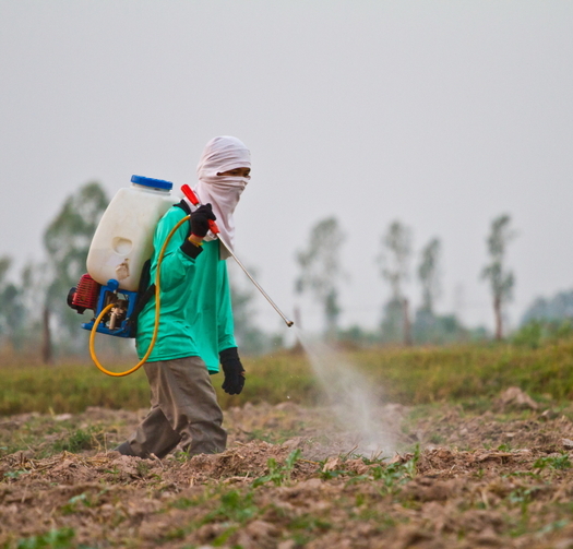 Farmworker advocates are petitioning the EPA to ban the use of a widely used toxic pesticide in the fields.(Wasan Gredpee/iStockphoto)