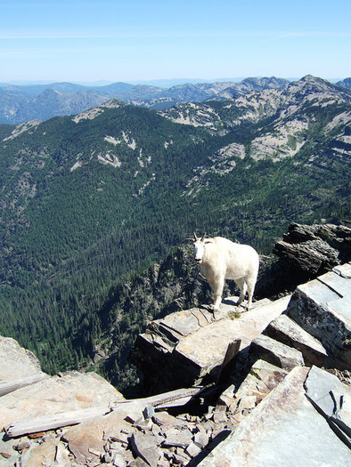 Trail maintenance is the priority this weekend in the Scotchman Peaks area, as part of National Public Lands Day activities across the Gem State. (D. Taylor in Idaho/Flickr)