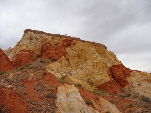 Tomorrow is National Public Lands Day, and some Nevadans have their eye on Gold Butte as the next potential national monument. (Friends of Gold Butte)